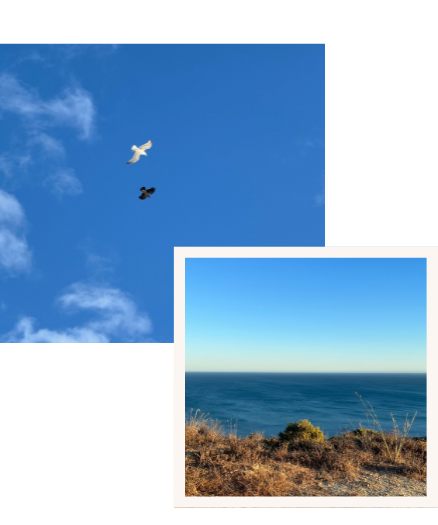 voyage éco-responsable sur-mesure accompagnement complet