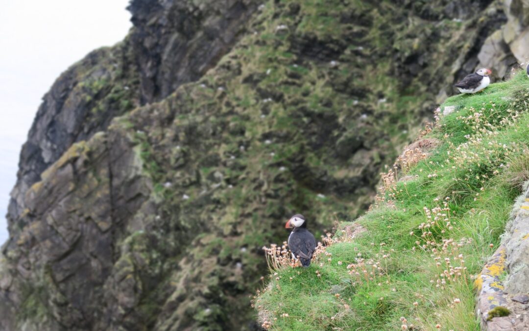 L&rsquo;Écosse en road trip, une belle aventure en famille