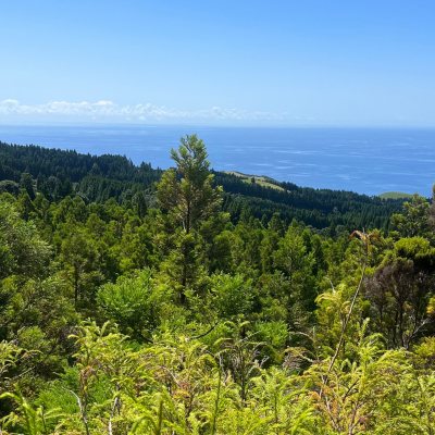 voyage de noces éco-responsable au Portugal randonnées et plages en van